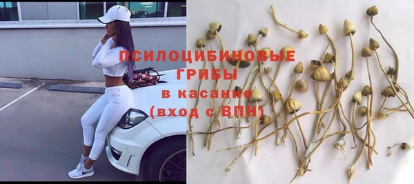 соль ск Гусь-Хрустальный
