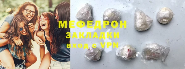 индика Гусев