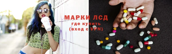 PSILOCYBIN Алзамай