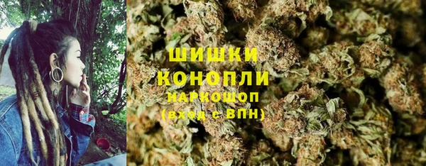 PSILOCYBIN Алзамай