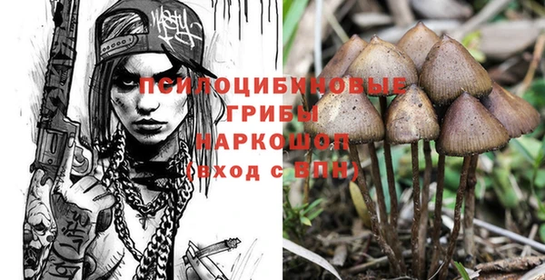 PSILOCYBIN Алзамай