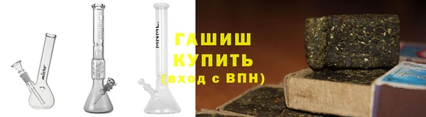 PSILOCYBIN Алзамай