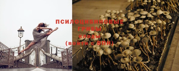 PSILOCYBIN Алзамай