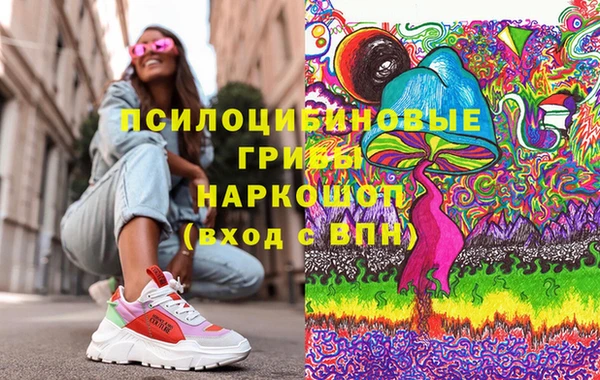 PSILOCYBIN Алзамай