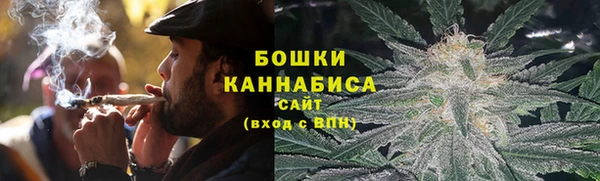 PSILOCYBIN Алзамай